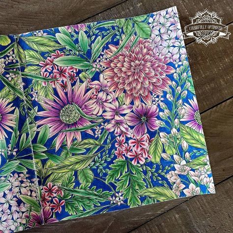 Flowerscape Coloring Book (@colorflowerscape) • Instagram photos and videos Flowerscape Coloring, Maggie Enterrios, January 4, Adult Coloring, Coloring Books, Painter, Paradise, Instagram Photos, Photo And Video