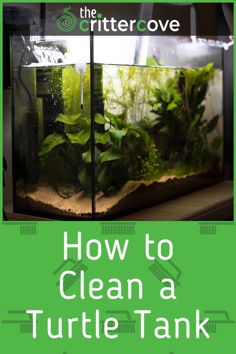 Diy Basking Area Turtle Tanks, Turtle Pet Care, Diy Turtle Basking Platform Above Tank, Turtle Tank Cleaning Hacks, Pet Turtle Care, Water Health, Map Turtle, Calcium Deposits, Turtle Facts