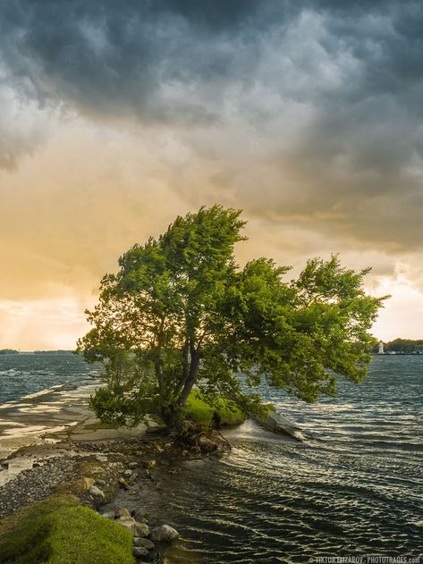 Storm at Saint Lawrence River(Montreal) Saint Lawrence River, Photography Bucket List, Family Travel Photography, Saint Lawrence, Photos Travel, Portraiture Photography, Cambodia Travel, Vacation Photography, Travel Photography Inspiration