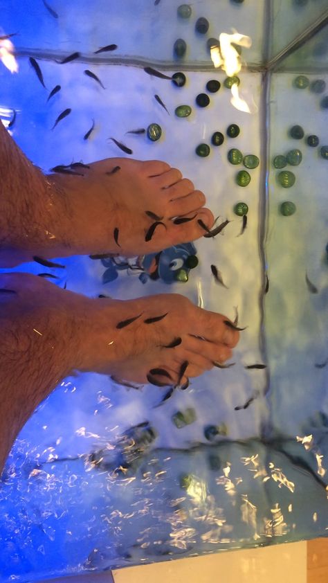 Fish Pedicure, Fish Eating, Narrow Street, Eating Fish, Dead Skin, Free Food, Venice, Bucket List, Walking