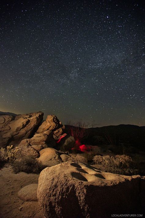 Anza Borrego State Park, Borrego Springs, Anza Borrego, Desert Photoshoot, Photography Things, Desert Aesthetic, Things To, San Diego Travel, National Park Road Trip