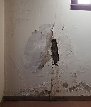 Fix Cracked Concrete, Wall Repair, Basement Waterproofing, Cracked Wall, Expanding Foam, Concrete Ceiling, Skull Crafts, Cement Walls, Foundation Repair