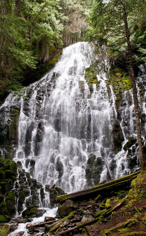 Ramona Falls, Oregon Waterfalls, Road Trip Places, Mount Hood, Pacific Crest Trail, Fall Hiking, Free Camping, Hiking Trip, Camping Trips