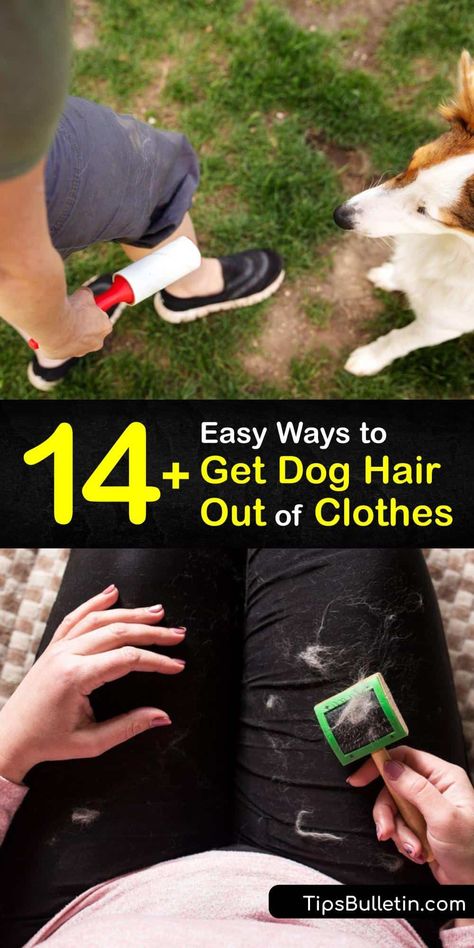 Sometimes keeping your clothes away from your pet just isn't enough to keep loose hair from clinging to your wardrobe. Discover ingenious ways to remove unwanted pet hair using a dryer sheet, rubber glove, and a washing machine. #pet #dog #hair #clothes #remove How To Remove Lint, Dog Hair Removal, Best Cleaning Hacks, Dryer Sheet, Clothes Life Hacks, Cat Hacks, Excess Hair, Loose Hair, Hair Removal Methods