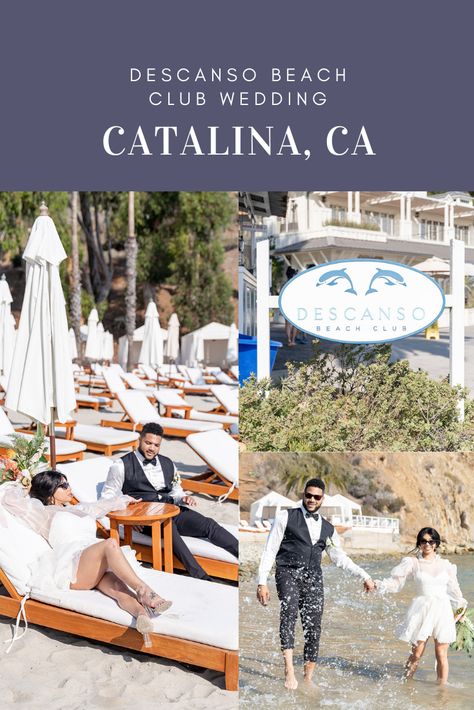 Catalina Island Wedding Venues, Descanso Beach Club Wedding, Beach Wedding Venues California, Catalina Wedding, Descanso Beach Club, Catalina Island California, Socal Wedding Venues, Place To Get Married, California Beach Wedding