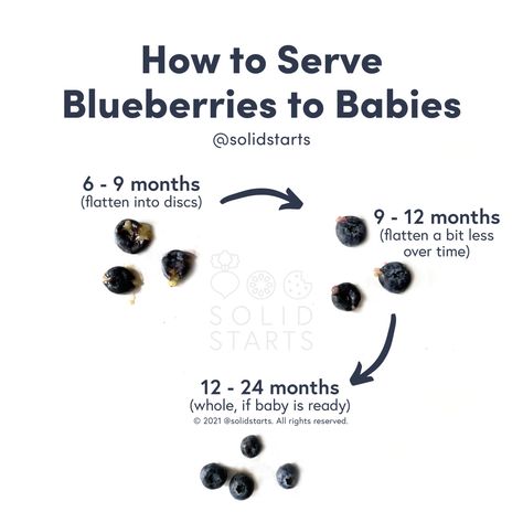 Blueberries for Babies - First Foods for Baby - Solid Starts Babies First Foods, First Foods For Baby, Baby Weaning Foods, Solid Starts, Foods For Baby, Baby Led Weaning First Foods, High Antioxidant Foods, Weaning Foods, Baby Led Feeding