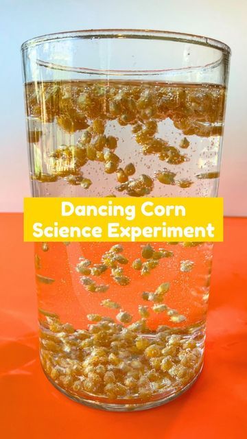 Dancing Corn, Pre-k Science, Preschool Fine Motor Skills, Toddler Games, Baking Soda And Vinegar, K Crafts, Stem Teacher, Easy Science Experiments, Kids Science