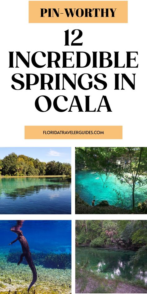 12 Incredible Springs In Ocala To Visit This Year - 2024 Northern Florida, Ocala Florida, Silver Springs, Moving To Florida, Vacation Tips, South Beach Miami, Family Friendly Activities, Florida Vacation, Sunshine State