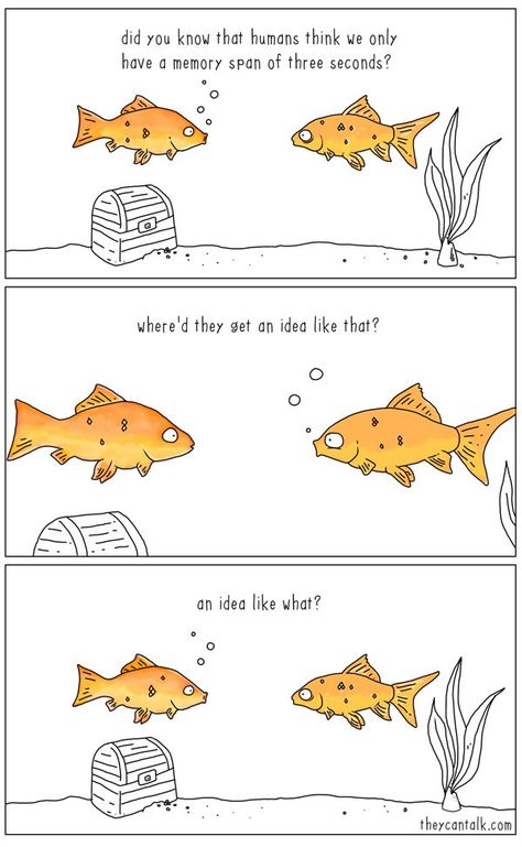 Actually, goldfish can remember a lot Short Funny Comics, Comic Template, 4 Panel Life, Funny Animal Comics, Funny Relationship Quotes, Funny Illustration, Funny Dog Pictures, Comic Collection, Funny Relationship