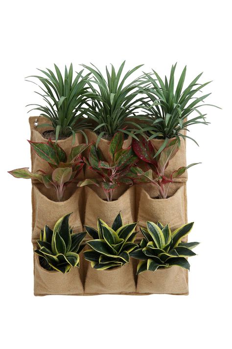 PRICES MAY VARY. WALL MOUNT PLANTER: Easily fix to a fence or mount to a wall. Along with convenient tabs that allow you to attach your vertical garden to any surface using hooks, nails, screws, or zip-ties. In addition, grommets and tabs for easy mounting. INNOVATIVE POCKET GARDEN: Lay potted plants directly in the pockets of your vertical living wall garden and change them from time to time or fill pockets directly with potting soil. Remember to water them regularly. It should be noted that or Plant Balcony, Living Wall Garden, Vertical Garden Wall Planter, Living Wall Planter, Garden Wall Planter, Permaculture Garden, Pocket Garden, Hanging Herb Garden, Tiered Planter