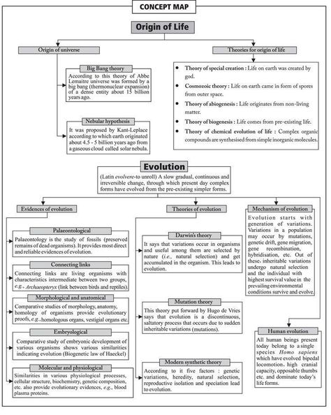 Evolution Notes Class 12, Evolution Concept Map, Neet Study, Biological Classification, Biology Class 12, Neet Biology, Medical Terminology Study, Biochemistry Notes, Neet Notes