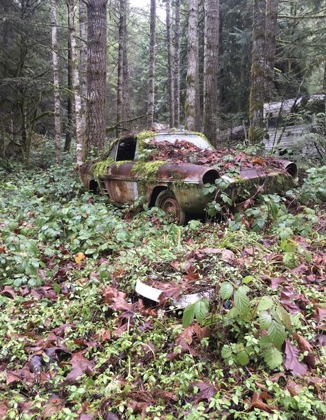 A somewhat rare car sitting in the woods east of Eugene keys are still in the ignition Abandoned Car In Forest, Abandoned Photography, Abandoned Vehicles, Film Ideas, Abandoned Property, Car Sit, Urban Explorer, Abandoned House, Abandoned Cars