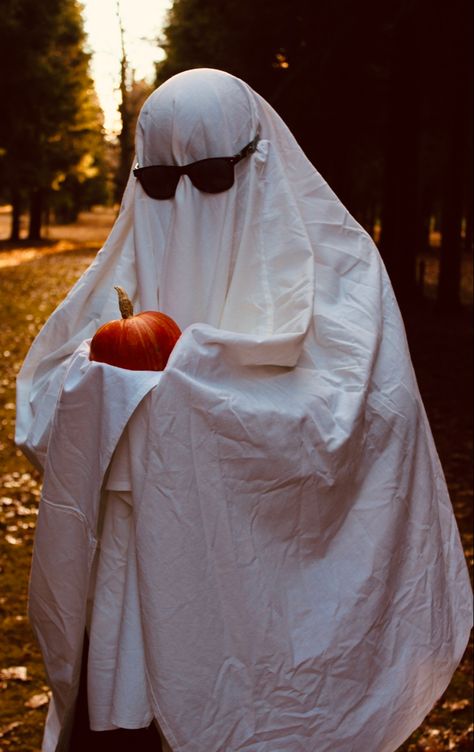 Pumpkin Ghost Costume, Ghost Shoot, Sheet Costume, Ghost Challenge, Fotos Halloween, Ghost Holding Pumpkin, Sheet Ghosts, Goofy Cats, Ghost Photoshoot