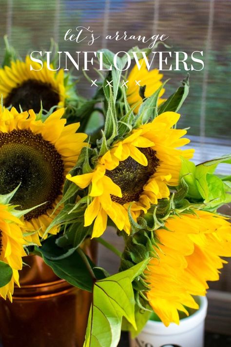 This easy tutorial will show you how to arrange sunflowers with just a few greens clipped from your yard! How To Make Sunflower, Sunflower Floral Arrangements, Flower Arranging Tutorial, Sunflower Wedding Decorations, Summer Flower Arrangements, Sunflower Vase, Sunflower Arrangements, Thrift Store Decor, Red Cottage