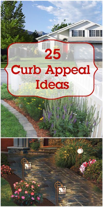 Curb Appeal Ideas, Diy Curb Appeal, Yard Project, Home Exterior, Backyards, Lawn And Garden, Outdoor Projects, Outdoor Design, Landscaping Ideas