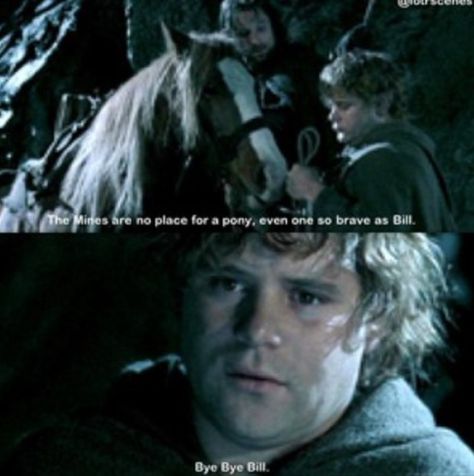 Oh Bill! This was such a sad part!!!!! Bill The Pony, Bill The Pony Lotr, Hobbit Art, Rings Of Power, The Silmarillion, J R R Tolkien, Music Film, The Lord Of The Rings, Bye Bye