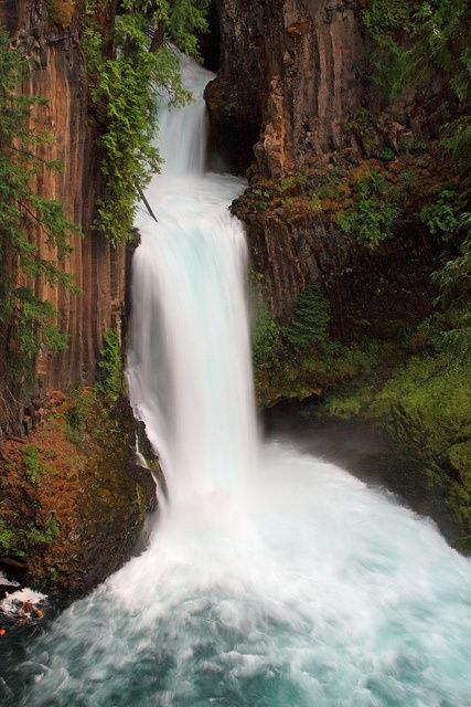 Toketee Falls, Umpqua Highway, Oregon #toketeefalls #waterfall #umpqua #oregon #pnw #pacificnorthwest Toketee Falls, Oregon Adventures, Usa Road Trip Ideas, Roseburg Oregon, Oregon Trip, Visit Oregon, Usa Road Trip, Road Trip Ideas, Oregon Waterfalls