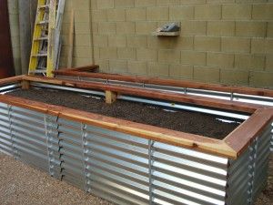 Raised garden beds... Metal Garden Beds, Raised Gardens, Metal Raised Garden Beds, Raised Bed Gardening, Planter Beds, Vegetable Garden Raised Beds, Diy Raised Garden, Raised Garden Beds Diy, Corrugated Metal