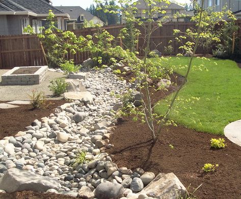 Solving Water Problems With Dry Creek Beds | Frontier Landscaping Dry Creek Bed, Dry River, French Drain, Drainage Solutions, Shady Tree, Creek Bed, River Bed, Dry Creek, Rain Garden