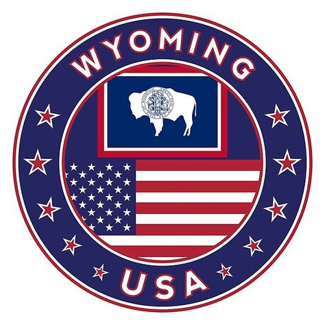 Usa Flag Stickers, Wyoming Flag, Sticker Phone Case, White Bg, American States, Wyoming Travel, American Flag Wallpaper, Jackson Wyoming, World Thinking Day