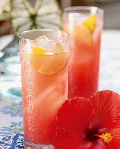 This island-inspired punch is the perfect refresher for a leisurely evening or day of sunbathing by the pool. We shared our Hibiscus Tea Punch recipe on our website. #southernladymag #hibiscustea #punchrecipe #outdoorliving #springrecipe #drinkrecipe #summerdrink #springdrink #springinthesouth #southernparties Tea Punch Recipe, Tea Punch, Spring Drink, Spring Recipe, Tea Health Benefits, Punch Recipe, Hibiscus Plant, White Hibiscus, Tea Cocktails