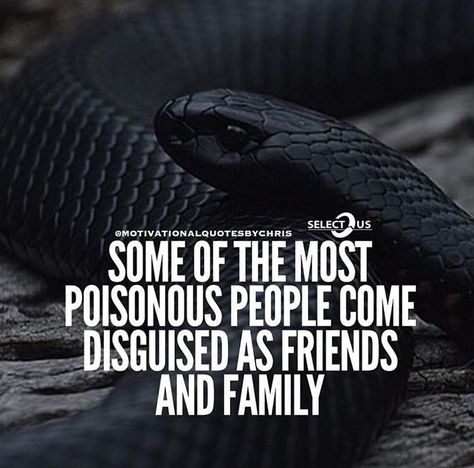 Unfortunately Snake Will Always Be A Snake Quote, A Snake Is Still A Snake Quote, Snake Quotes People, Snake Friends Quotes, Snakes Quotes, Shady People Quotes, Snake Friends, Snake Quotes, Barbell Complex