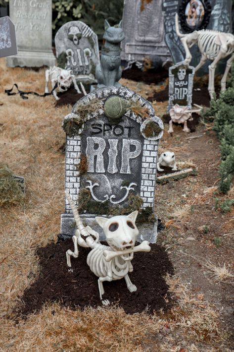 Gone but never forgotten - dancing into the afterlife like 💀🐾 
@fernandmaplestyle

#petcemetery #skeleton #animalskeleton #halloween #halloweendecor Halloween Petting Zoo Ideas, Skeleton Decor Ideas, Pet Cemetary, Cemetery Halloween, Doctor Halloween, Skeleton Decor, Stick Season, Pet Cemetery, Animal Skeletons