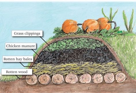 Hugelkultur Garden, Plantarea Legumelor, Lasagna Gardening, Fall Garden Vegetables, Permaculture Gardening, Meteor Garden 2018, Veg Garden, The Homestead, Organic Gardening Tips