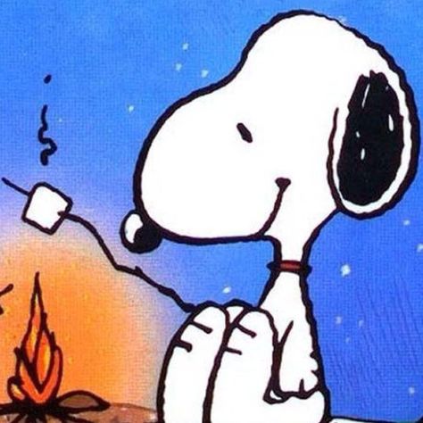 Snoopy Snoopy Matching Pfp, Lucy Charlie Brown, Peanuts Snoopy Comics, Activities For Seniors, Toasting Marshmallows, Woodstock Snoopy, Peanuts Cartoon, Peanuts Characters, Snoopy Wallpaper