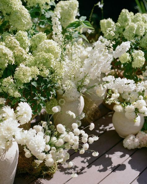 J&G’s late summer ceremony ft. fluffy garden blooms ~ antique hydrangea, delphinium, lavatera, dahlia, scabiosa & breezy grasses 🏺🌾 With o… | Instagram Green Hydrangea Bouquet, Green Hydrangea Wedding, Antique Hydrangea, Green And White Wedding Flowers, Hydrangea Centerpiece Wedding, White Hydrangea Wedding, Summer Ceremony, Hydrangea Bouquet Wedding, Wedding Flowers Hydrangea