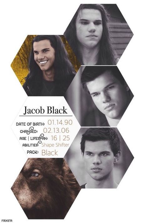 Black Fan Art, Twilight Wolf Pack, Jacob Black Twilight, Twilight Facts, Twilight Jacob, Twilight Renesmee, Twilight Wolf, Vampire Twilight, Twilight Quotes