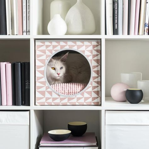 Our Top 9 Rules for Styling Cube Shelves - TLC Interiors Ikea Cat, Cat Cube, Kallax Shelving Unit, Cube Shelf, Long Floating Shelves, High Beds, Cat Playground, Cube Shelves, Kallax Ikea