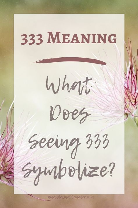 Seeing Angel Number 33, 333, or 3333? Learn the 333 spiritual meaning - photo of three Wispy Flowers by Pezibear from Pixabay upclose, along out of focus green and brown light with text overlay 333 Meaning - What Does Seeing 333 Symbolize? 3333 Meaning, 333 Spiritual Meaning, 333 Angel Number Meaning, What Does 333 Mean, 33 Angel Number, 333 Meaning, Angel Numbers 333, 333 Angel Number, Numerology Compatibility