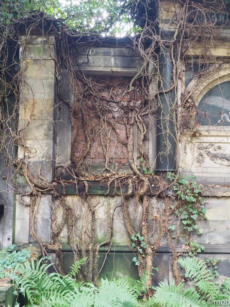 Abandoned Garden, Jewish Cemetery, Future Architecture, Wroclaw Poland, Cemetery Art, Wroclaw, Style Board, Cemetery, Secret Garden