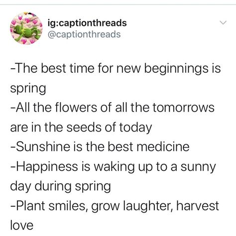 Awesome Spring season captions #instagram #instagramcaption #spring Dope Captions, Summer Instagram Captions, Dope Captions For Instagram, Cute Captions, Spring Instagram, Cute Instagram Captions, Ig Captions, Falling In Love Quotes, Spring Plants