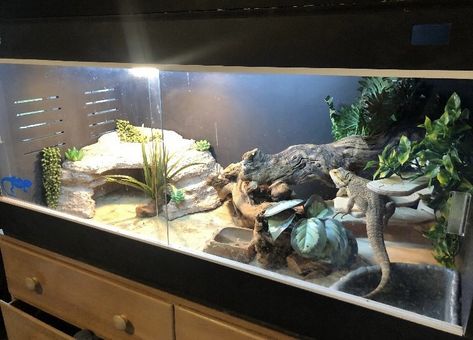 Bearded Dragon Terrarium Ideas Tanks, Bearded Dragon Tank Setup, Bearded Dragon Setup, Bartagamen Terrarium, Diy Bearded Dragon Enclosure, Bearded Dragon Vivarium, Bearded Dragon Terrarium Ideas, Bearded Dragon Diy, Bearded Dragon Terrarium