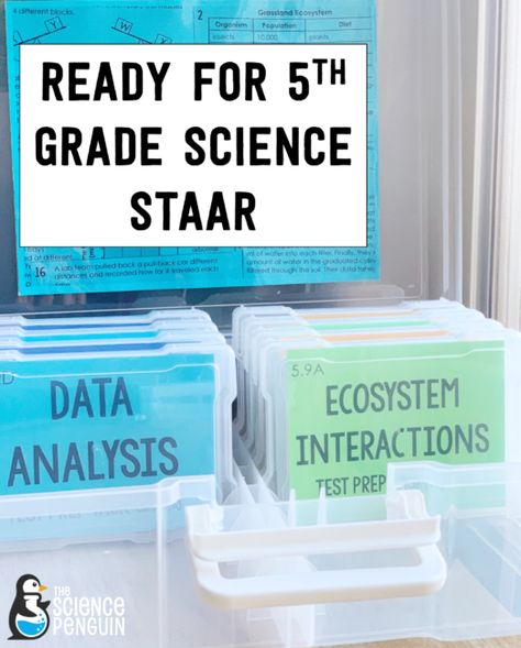 Science Staar Review 5th Grade, 5th Grade Science Classroom, Staar Review, Staar Test Prep, Elementary Science Classroom, Staar Test, Science Penguin, Middle School Science Teacher, Middle School Science Experiments