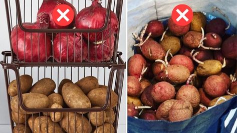 How To Store Potatoes For Months Without Budding Store Onions And Potatoes In Kitchen, Store Onions And Potatoes, Storing Onions And Potatoes, Store Onions, Storing Onions, Potato Storage, How To Store Potatoes, Yum Recipes, More Than Enough