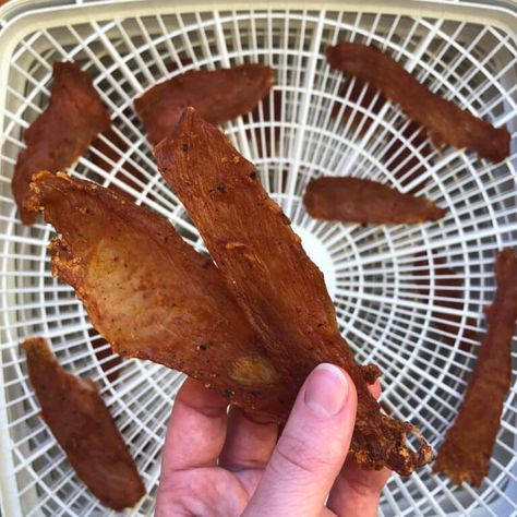 Ground Turkey Jerky Recipe Dehydrator, Ground Turkey Jerky Recipe, Turkey Jerky Recipe Dehydrator, Smoker Jerky Recipes, Turkey Jerky Recipe, Dehydrator Jerky, Jerky Recipes Dehydrator, Foods Chicken, Bacon Jerky