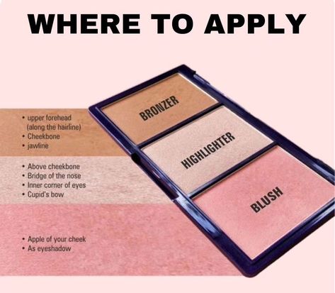 Where to apply 🥰 #makeup #makeuptutorial #makeupartist #makeuplover #highlighters #bronzer #blush #beautiful #treanding #tricks #tips #hack #aseya_salon Where To Apply Makeup, Blush And Highlighter, Homemade Hair Mask, Hair Mask For Damaged Hair, Apply Makeup, Cupids Bow, Blush Highlighter, Highlighter Palette, Makeup Palette