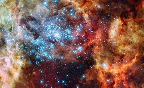 20 Gorgeous Hubble Photos That Showcase The Universe's Beauty Tarantula Nebula, Stars In The Sky, Star Cluster, Hubble Space, Hubble Space Telescope, Space Telescope, Super Star, The Sky, Stars