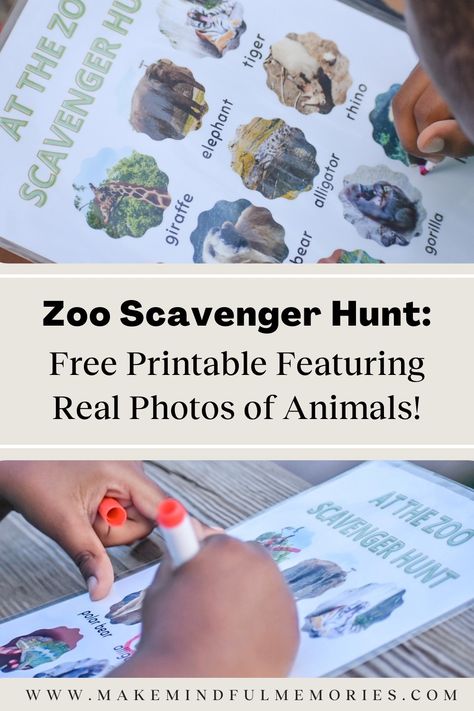 Zoo Scavenger Hunt Printable, Zoo Scavenger Hunt, Real Life Photos, Scavenger Hunt Printable, Photos Of Animals, Real Animals, Houston Zoo, Creative Template, The Zoo