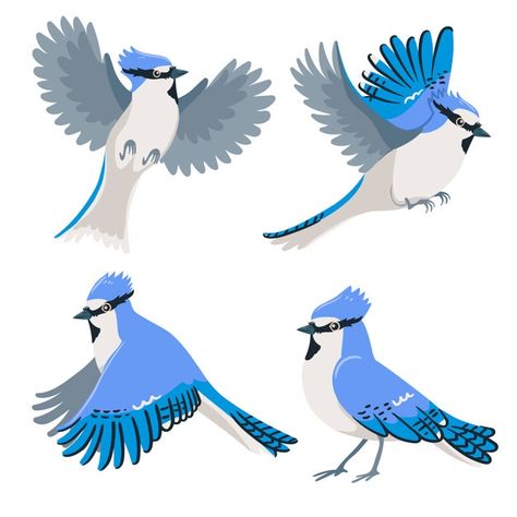 Set of blue jays isolated | Premium Vector #Freepik #vector #blue #cartoon #bird #animal Blue Bird Cartoon, Bird Cartoon, Cactus Vector, Branch Vector, Murals For Kids, Cartoon Birds, Cute Clown, Jay Bird, Sketch Inspiration