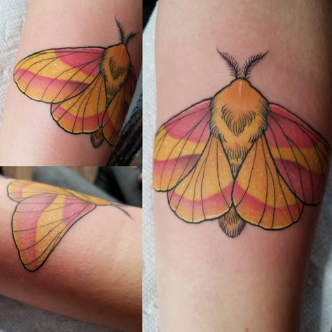 Maple Moth Tattoo, Rosy Maple Moth Tattoo, Flower Shop Au, Tattoos Spiritual, Body Artwork, Maple Moth, Rosy Maple Moth, Poke Me, Flash Ideas