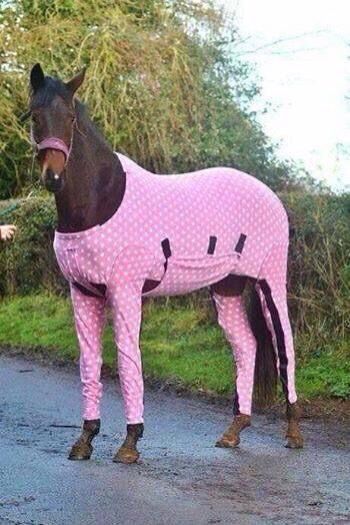 Sewing Horse Onesie, Horse Costumes, Paint Horse, Funny Horses, Horse Accessories, Pink Pajamas, Horse Quotes, Funny Horse, Cute Horses