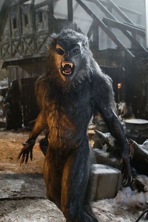 Underworld Werewolf, Underworld Evolution, Underworld Movies, Monster Movies, Monster Costumes, Werewolf Art, Vampires And Werewolves, Supernatural Beings, The Underworld