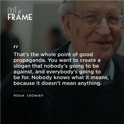 Noam Chomsky, Government, Incoming Call Screenshot, Quotes