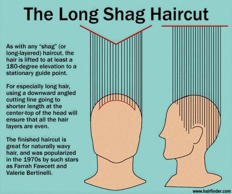 Long shag haircut Long Layered Curly Hair, Hair Journal, Hair Facts, Master Barber, Long Shag Haircut, Long Shag, Layered Curly Hair, Hair Illustration, Asymmetrical Hairstyles