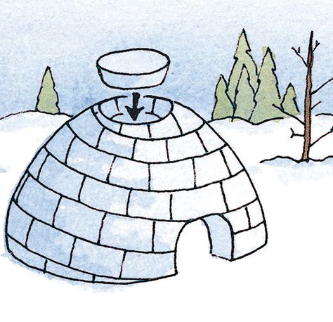 How to Build an Igloo in 10 Steps Snow Shelter, Build An Igloo, Blue Thoughts, Igloo Building, Snow Fort, Pole Nord, Japanese Beetles, Snow Sculptures, Snow Fun