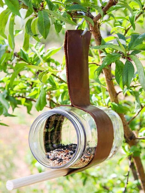 5 easy DIY bird feeders - it doesn't take a lot of money Simple Bird Feeder, Easy Dyi, Bird Feeder Stands, Make A Bird, Make A Bird Feeder, Bird Feeder Plans, Bird Feeder Craft, Wooden Bird Feeders, Easy Bird